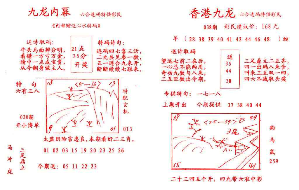 038期九龙内幕[图]